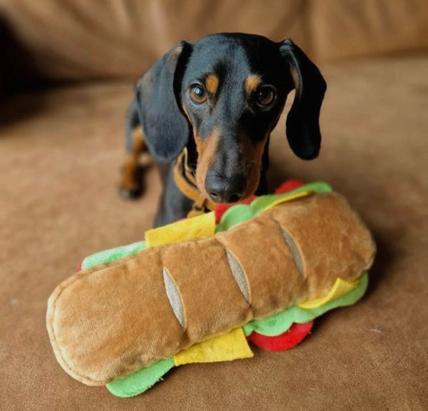 Pupway Sandwich Dog Toy By PawStory
