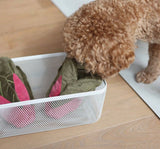 PRE ORDER Swiss Chard Cabbage Nosework Toy By Pups & Bubs