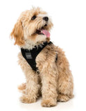 Swat Black Block Colour Step In Dog Harness By FuzzYard