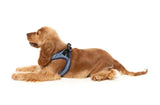 Thornbury Aegean Blue Step In Dog Harness By FuzzYard