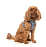 Thornbury Aegean Blue Step In Dog Harness By FuzzYard