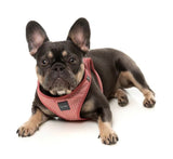 Thornbury Brick Red Step In Dog Harness By FuzzYard
