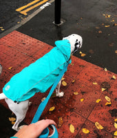 Reversible Dog Raincoat Neon Aqua & Iridescent By GF Pet