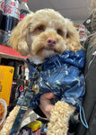 Rainstorm Blue Storm Print Dog Jacket By Urban Pup