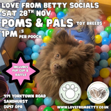 Sat 28th Nov 1pm - Love From Betty Socials Poms & Pals @ Mi Coffee & Cake Sandhurst
