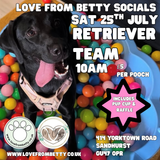 Sat 25th July 10am - Love From Betty Socials Retriever Team @ Mi Coffee & Cake Sandhurst