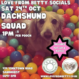 Sat 24th Oct 1pm - Love From Betty Socials Dachshund Squad @ Mi Coffee & Cake Sandhurst