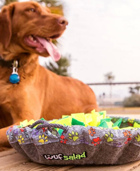 Salad Snuffle Enrichment Mat By Wuf Wuf