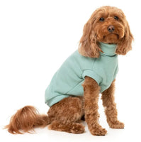Mint Green Stevie Sweater By FuzzYard