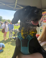 Clueless Tartan Dog Bow Tie Handmade By Urban Tails