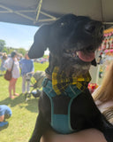 Clueless Tartan Dog Bow Tie Handmade By Urban Tails