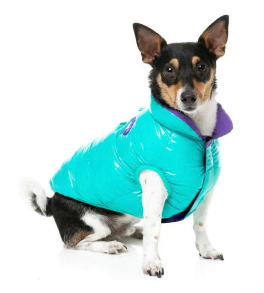 Turquoise Blue Amor Puffer Jacket By FuzzYard