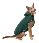 Forest Green Essential Puffer Jacket By FuzzYard
