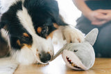 Ocean Buddies Shark Toy By P.L.A.Y