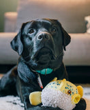 Ocean Buddies Puffa Fish Toy By P.L.A.Y