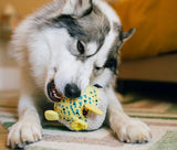 Ocean Buddies Puffa Fish Toy By P.L.A.Y