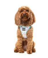 Bubblegum Burst Step In Dog Harness By Fuzzyard