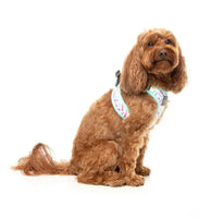 Bubblegum Burst Step In Dog Harness By Fuzzyard