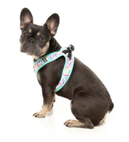 Bubblegum Burst Step In Dog Harness By Fuzzyard
