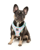 Bubblegum Burst Step In Dog Harness By Fuzzyard