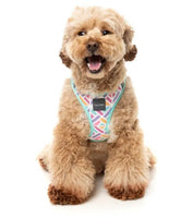 Bubblegum Burst Step In Dog Harness By Fuzzyard