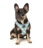 Mint Fizz Step In Dog Harness By Fuzzyard