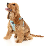 Mint Fizz Step In Dog Harness By Fuzzyard