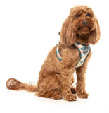 Carioca Step In Dog Harness By Fuzzyard