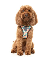 Carioca Step In Dog Harness By Fuzzyard