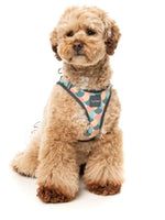 Carioca Step In Dog Harness By Fuzzyard