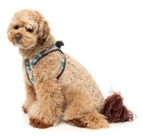 Carioca Step In Dog Harness By Fuzzyard