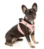 Pink Lemonade Step In Dog Harness By Fuzzyard