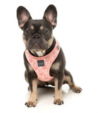 Pink Lemonade Step In Dog Harness By Fuzzyard