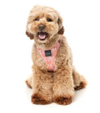 Pink Lemonade Step In Dog Harness By Fuzzyard
