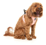 Pink Lemonade Step In Dog Harness By Fuzzyard