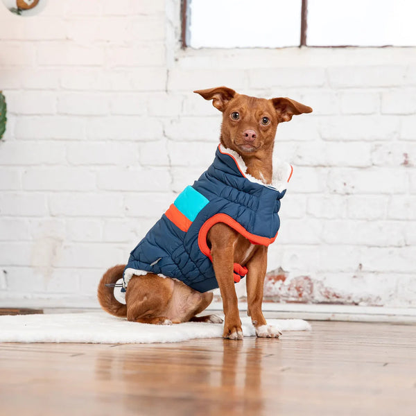 Gf pet online dog coats