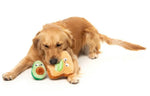 Avocado On Toast Duo Toy By FuzzYard