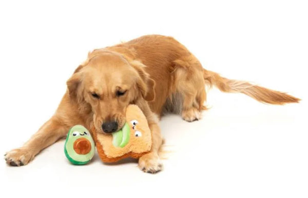 Avocado On Toast Duo Toy By FuzzYard