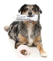 Fetch Slipper & Newspaper Duo Toy By FuzzYard