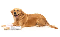 Fetch Slipper & Newspaper Duo Toy By FuzzYard
