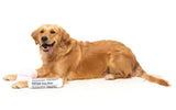 Fetch Slipper & Newspaper Duo Toy By FuzzYard