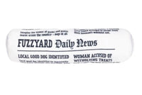 Fetch Slipper & Newspaper Duo Toy By FuzzYard