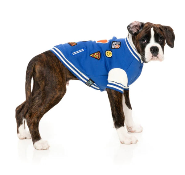 PRE ORDER Blue Letterman Varsity Dog Jacket By FuzzYard