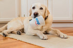 IHOP Barking Bean Brew Coffee Toy By P.L.A.Y