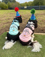Birthday Mint Dog T-Shirt By Parisian Pet