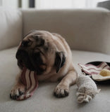 Breakfast Skillet Snuffle Toy By Lambwolf Collective