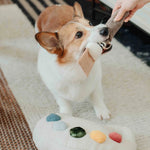 Paint Palette Toy By Lambwolf Collective