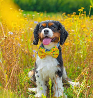 Sunshine Floral Dog Bow Tie Handmade By Urban Tails
