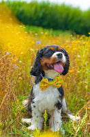 Sunshine Floral Dog Bow Tie Handmade By Urban Tails