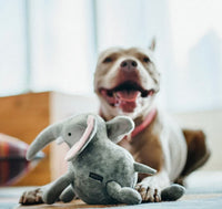 Safari Collection Elephant Toy By P.L.A.Y